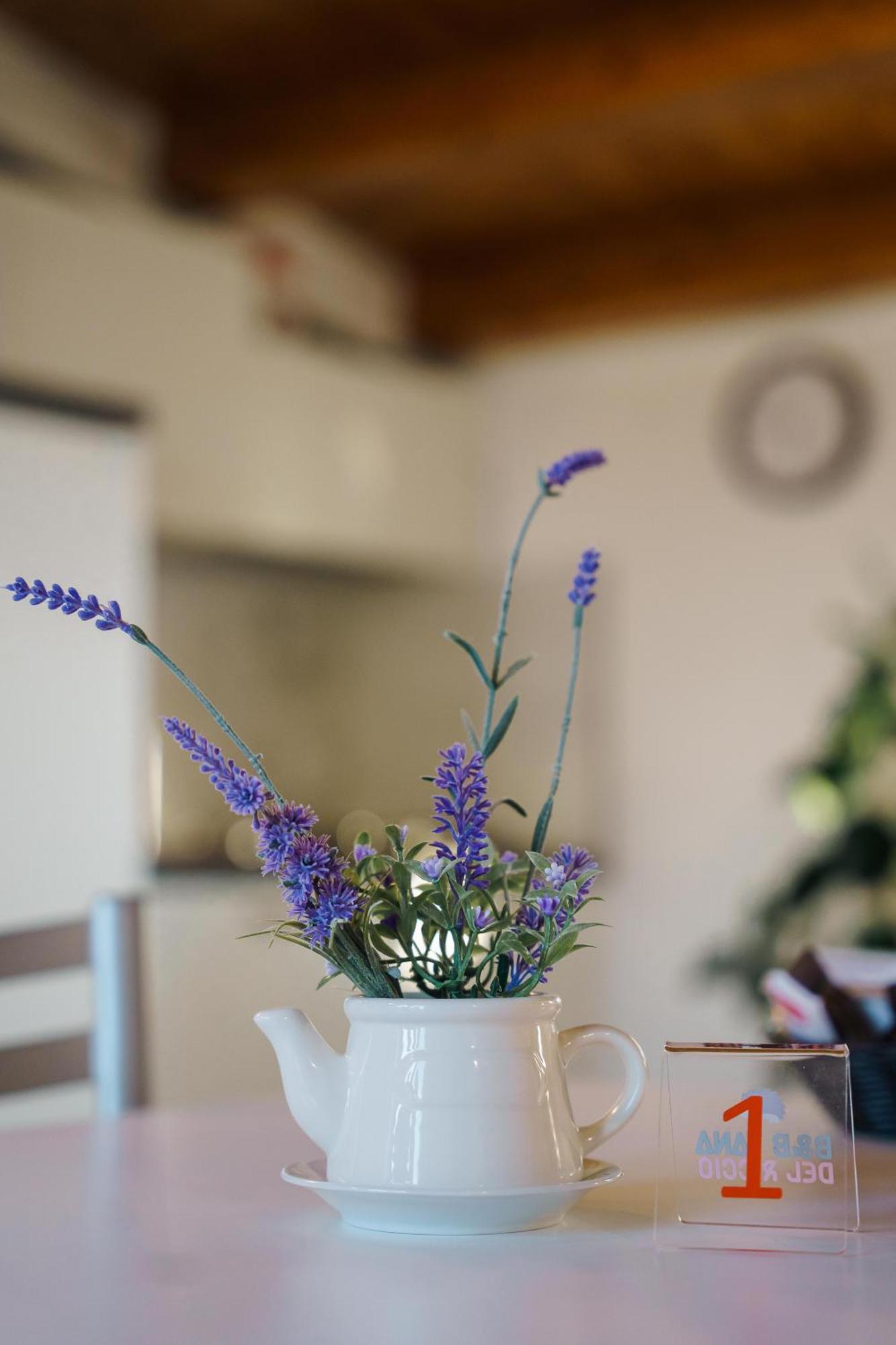 Tana Del Riccio Bed and Breakfast Ortona Eksteriør billede
