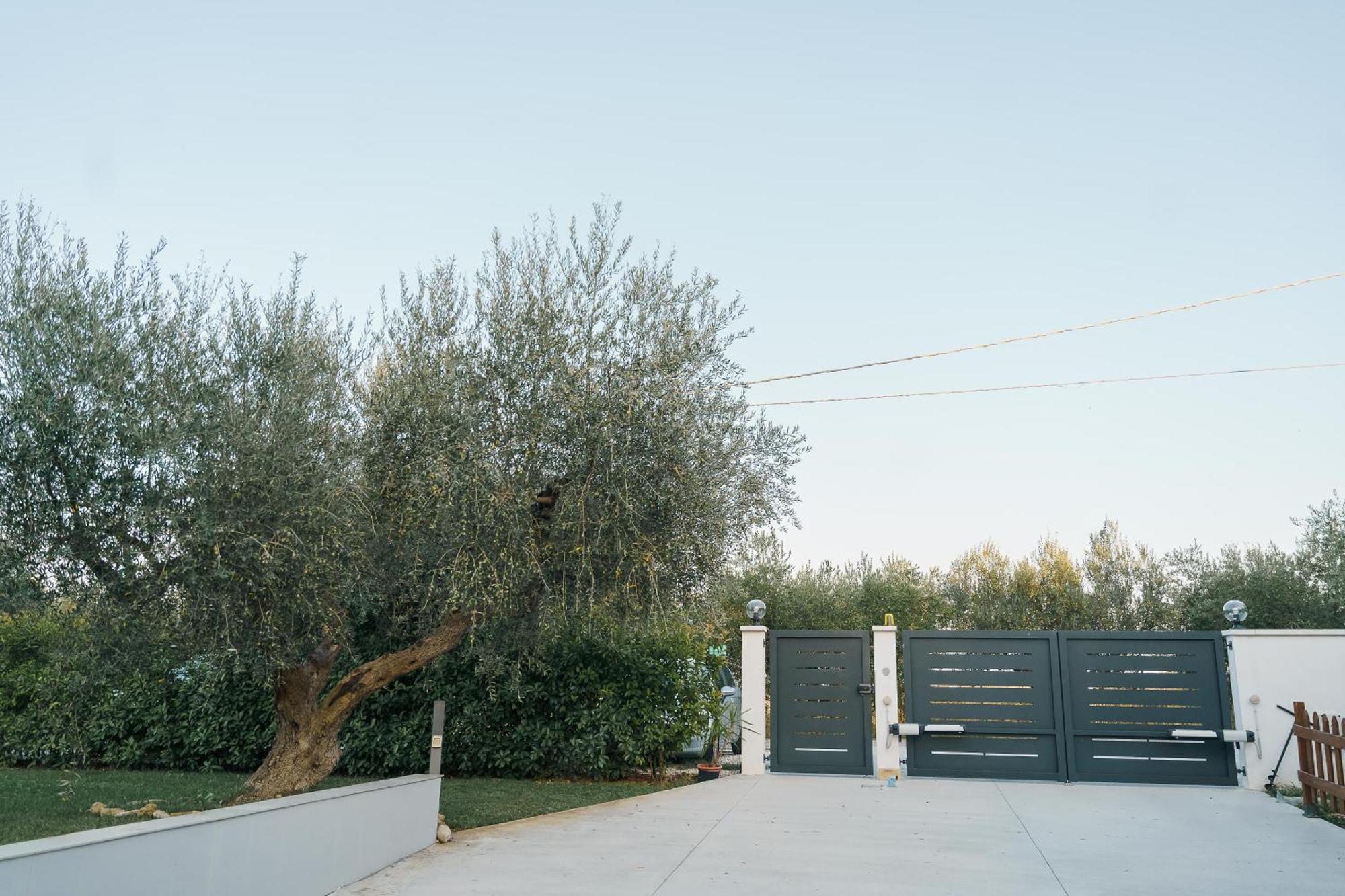 Tana Del Riccio Bed and Breakfast Ortona Eksteriør billede